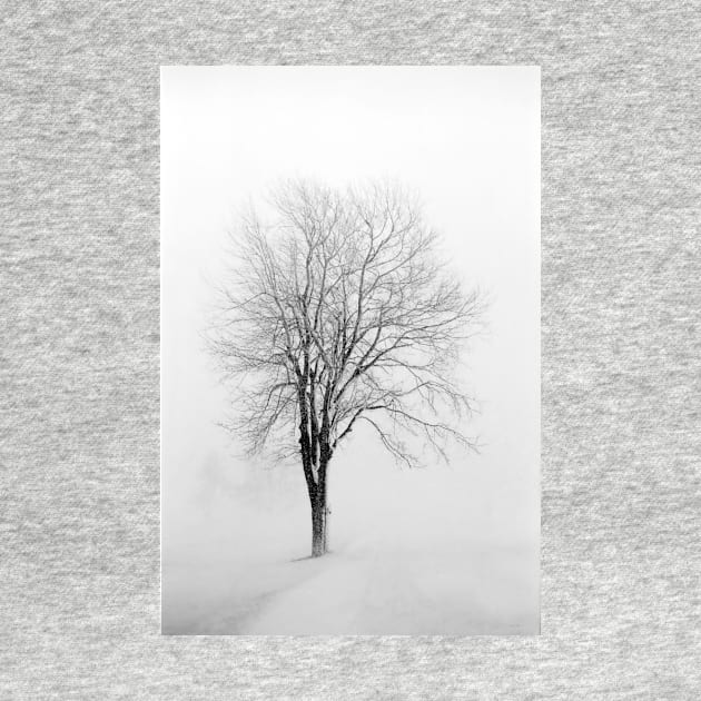 Skeletal Tree in a Snow Squall - BW by BrianPShaw